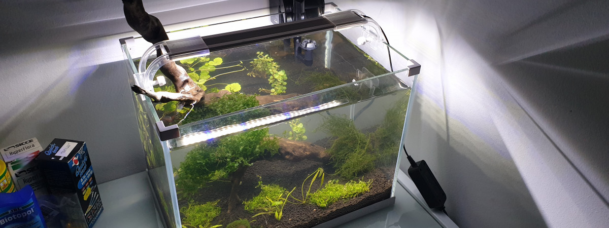 aquarium 20 L