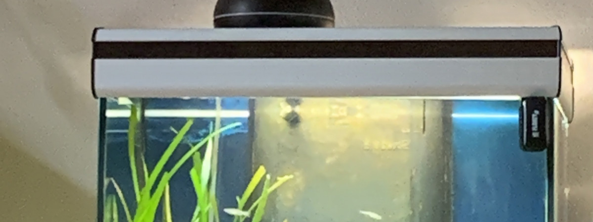 aquarium Home