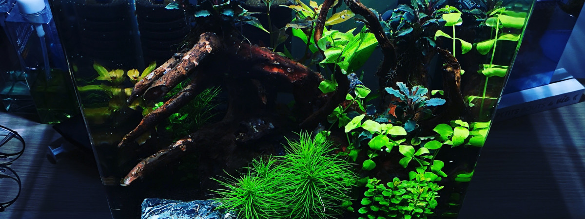 aquarium Dennerle 30 L