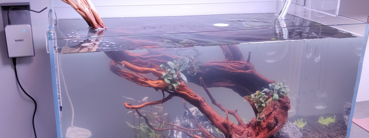 aquarium 60L - Premier aquarium