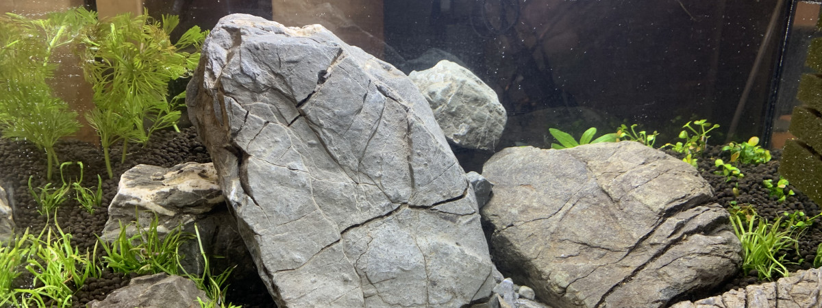 aquarium Mercantour