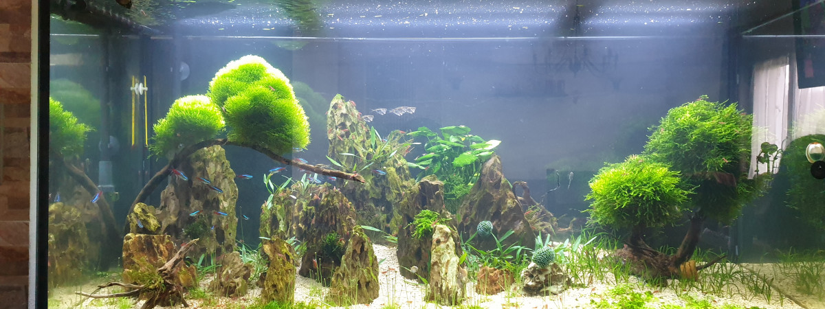 aquarium Juwel 350