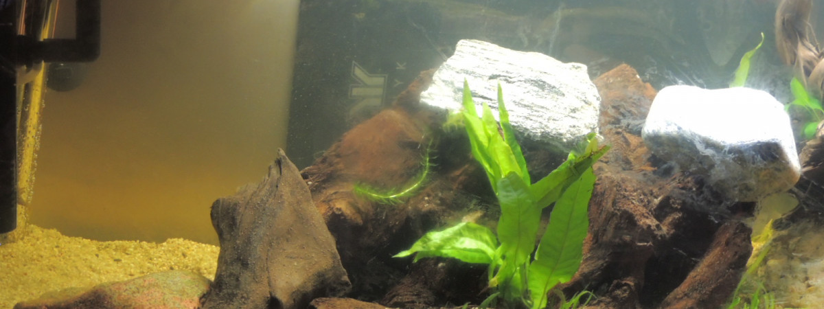aquarium libertad
