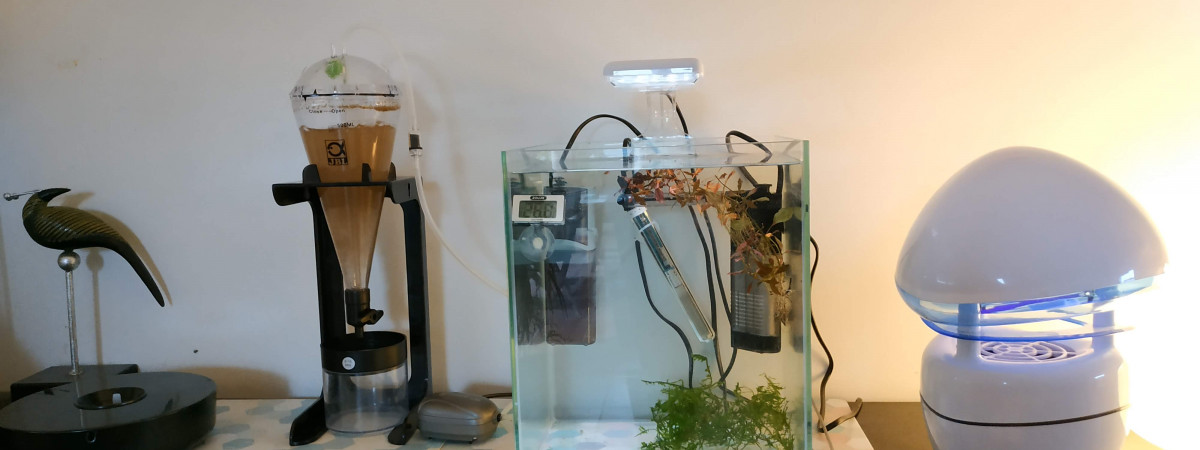 aquarium Nano incubateur élevage