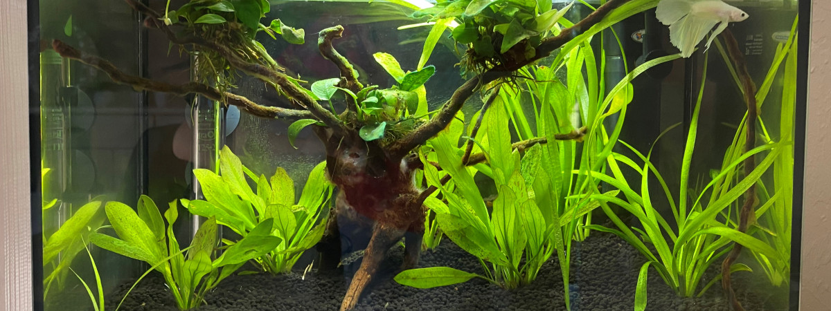aquarium Nano 20L