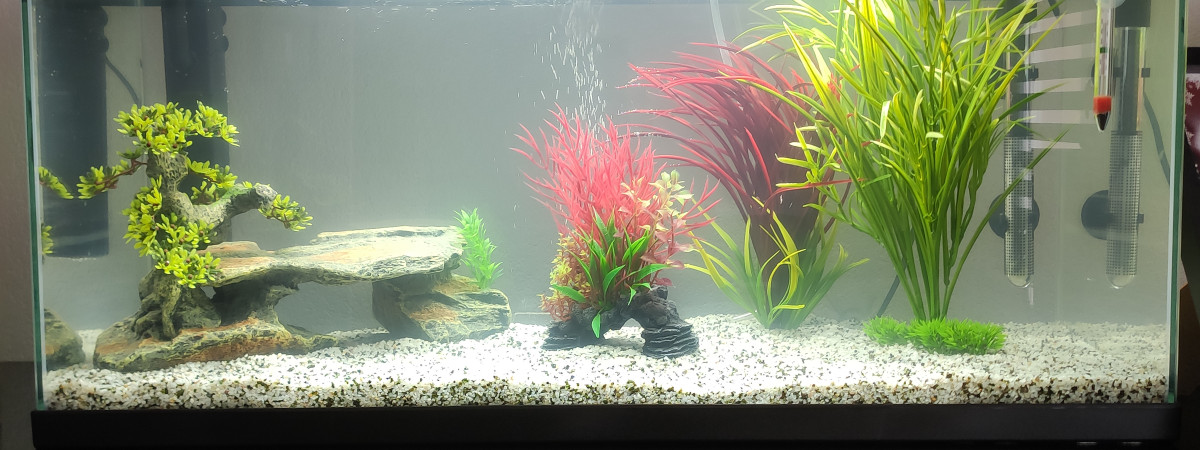 aquarium Mon premier Aquarium