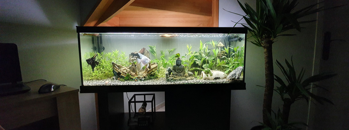 aquarium Premier Aquarium