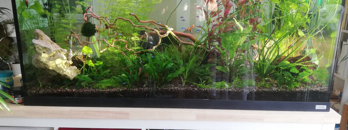 aquarium La vallée colorée