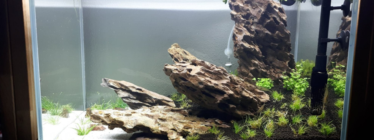 aquarium Nouveau monde