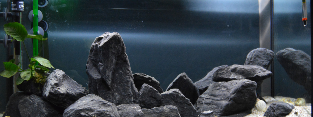 aquarium Tanganyika 126L