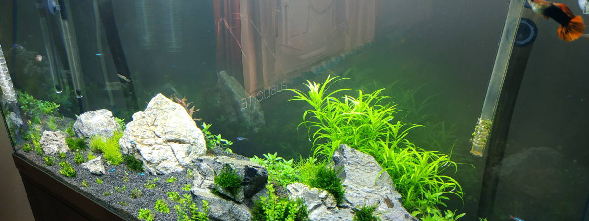 aquarium Bac 180 litres