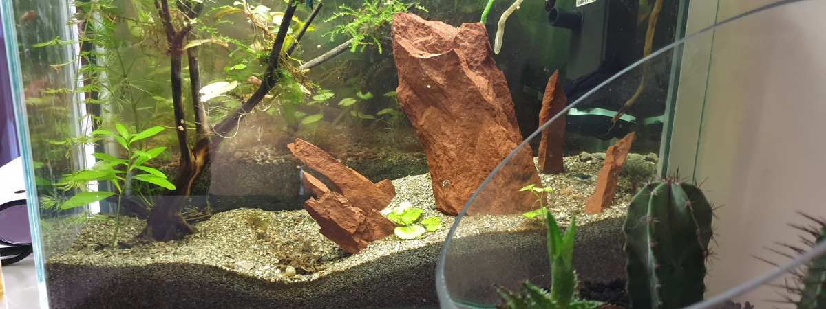 aquarium Nano 20L