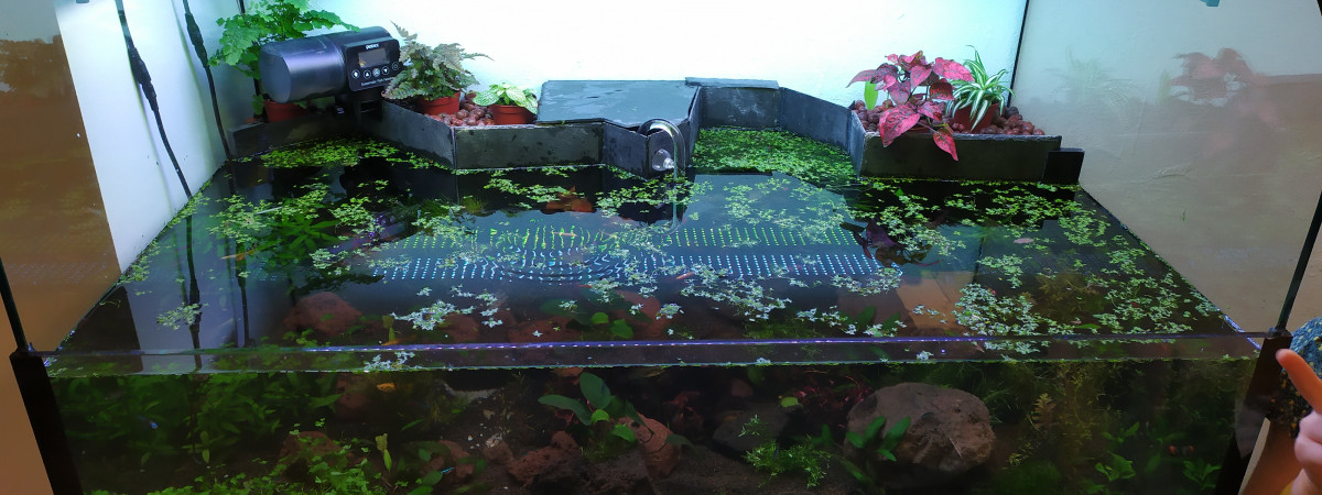 aquarium Riparium