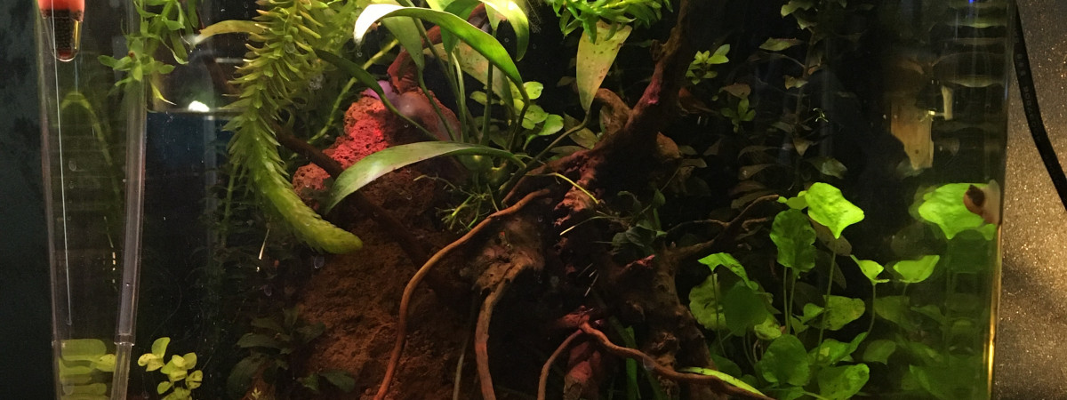 aquarium Nano
