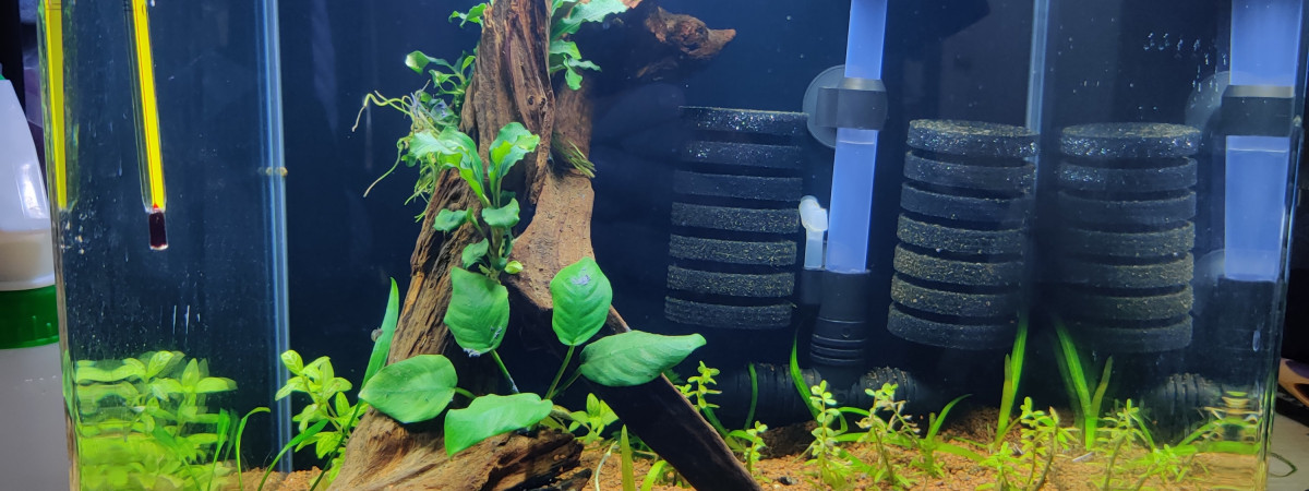aquarium Nano30