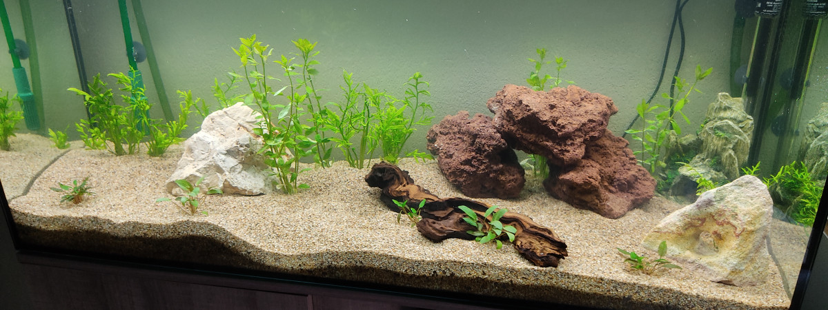 aquarium Aqua240