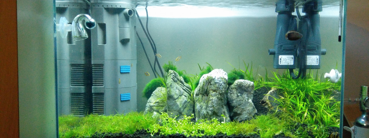 aquarium Les Trois Pucelles