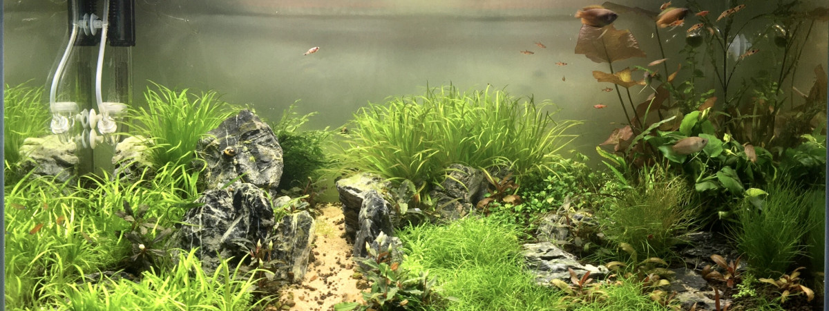 aquarium WU THUNG LUNG