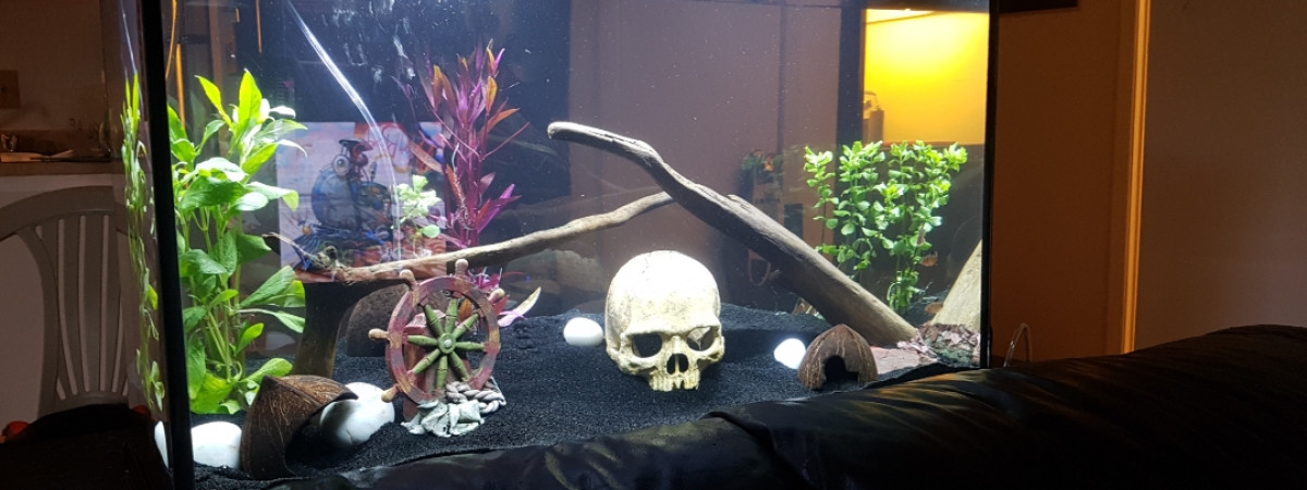 aquarium Premièr aquarium